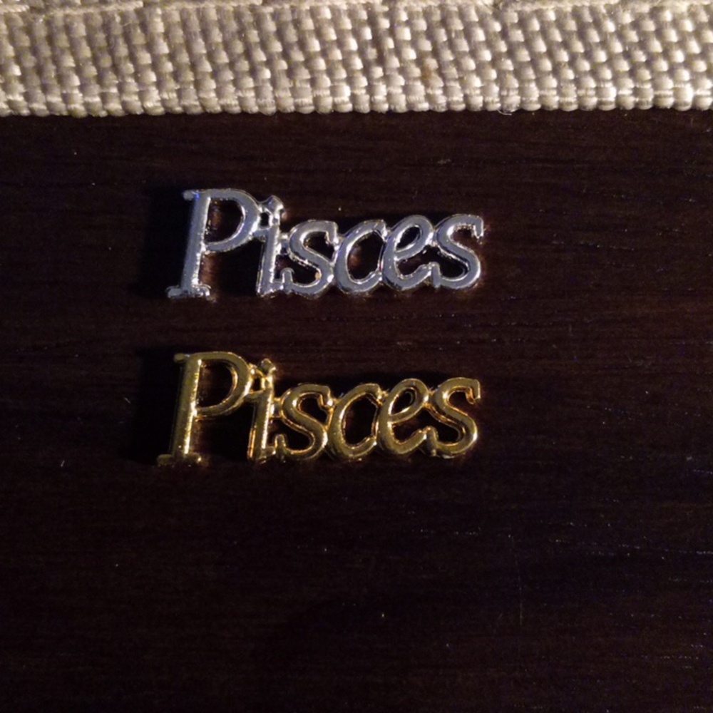 NEW PISCES ZODIAC GOLD  &  SILVER TONE 3D METAL NAIL CHARMS (2PCS)